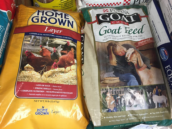 Feed and animal supplies at Lowe’s Bayshore