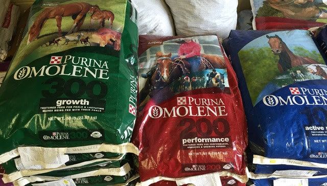 Horse feed available on Maryland’s Eastern Shore