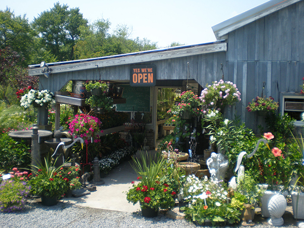 Nursery Eastern Shore MD